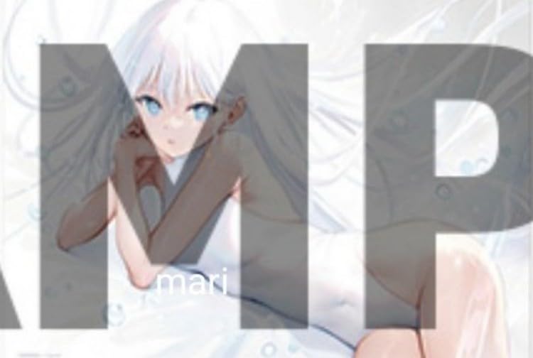 mignon works クリアファイル 12枚 mignon クリアファイル works