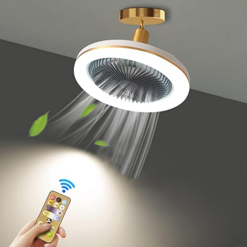 Ds UUby Ventilateur de Plafond Avec Lumière Fermée Mince Ventilateur Lumière 30W LED Lampe Integree et Telecommande E27 Petites Ventilateur de Plafond Eclairage (Gris) – vue 2
