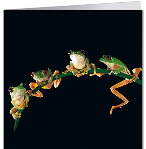 Biglietto di auguri 16,5 x 16,5 cm + + + GEO di