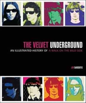 The Velvet Underground 希少Jim DeRogatis