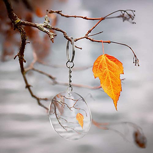 Ulimitx 24Pcs Acrylic Clear Circle Discs Transparent Round Keychain Blanks for Vinyl, with 24Pcs Key Chains, 24Pcs Tassel Pendants for DIY and Crafts