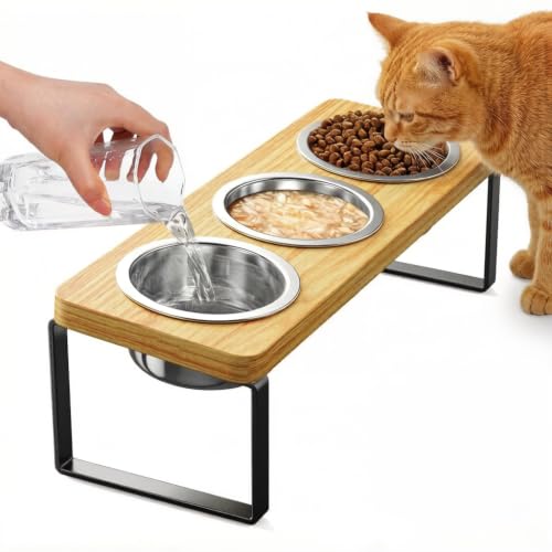 Katzennapf Erhöht, Futterstation Katze mit 3 Edelstahl Fressnapf Katze,Erhöhter Futternapf Katze mit 10° Geneigtem Ständer, Hundenapf Erhöht für Katzen, Kleine Hunde
