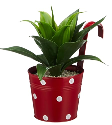 Image of Amazon Brand - Solimo Dotted Round Railing Planter for Balcony (Multicolor, Set of 3) | Dotted Railing Metal Pots for Balcony and Home Gardening, Indoor, Outdoor