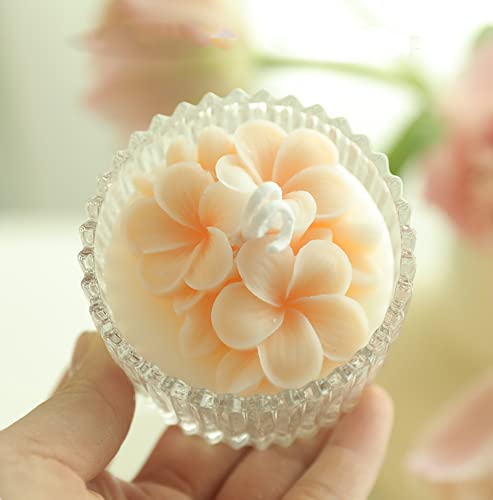 Flower Scented Candle,230G Plumeria Rubra L Soy Wax Aroma Decorative Candle in Glass Jar 8 Hours,Handmade Candle for Table Photo Prop,Prefect Gift for Meditation Stress Relief Mood Boosting Bath Yoga