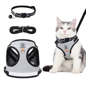 Cat Harness and Lead Set – Adjustable Reflective Stripe Walking Vest with Leash for Small Medium Pets, Grey Escape Proof, Soft Mesh