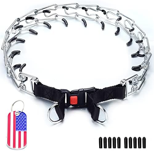 JanToPet Dog Collar Chain Adjustable Dog Collars for Small Medium Large Dogs Name Plate(NL,SilverTone)