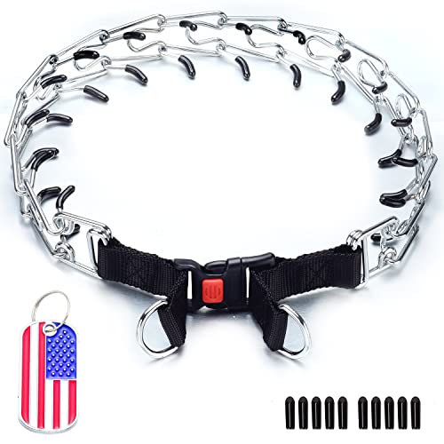 Jantopet Dog Collar Chain Adjustable Dog Collars For Small Medium Large Dogs Name Plate(Nl,Silvertone) #TOP30