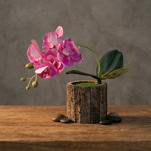 Image of Dekorly Artificial Orchid Flower Plant with Decorative Pot | 1 Stick Faux Orchid Plant | 20 cm Tall Indoor Tabletop Decor for Home, Living Room, Office Desk, Shelf, Hotel & Gift Decoration (Pink)