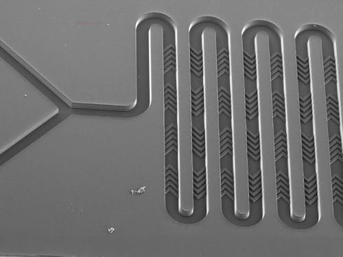 1pc microfluidic bilayer fishbone chip LNP nanoparticle generation chip mRNA bio chip photolithography customization (LNP C02 Fish bone bulge)