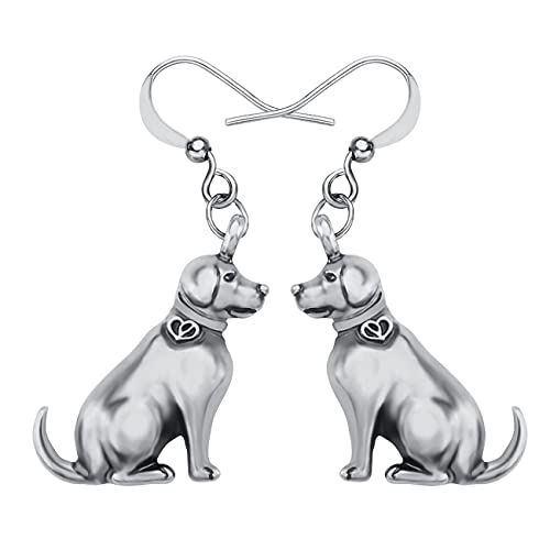 Boucles d'oreilles raton laveur acrylique argenté pour les femmes
