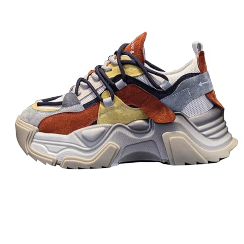 fB[XU[̌\[pp̌CprF̓bV̓C̖hLWAX|[cCubN܂ (IW,23.0 cm)