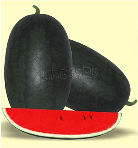 Royal Paradise Garden Rare Watermelon Fruit Seed"Black Tail" Exotic 10 Fruit seeds for Growing (B094CDXPCB) Amazon Price History, Amazon Price Tracker