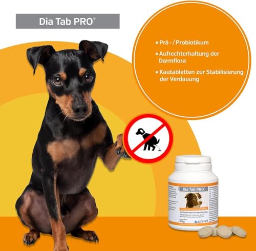 DIA TAB Kautabletten f.Hunde/Katzen 6X5.5 g