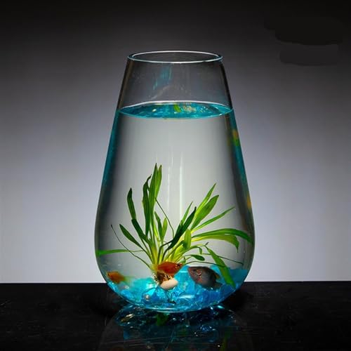 Bocal à poisson en verre pour décorer un bureau ou salon moderne