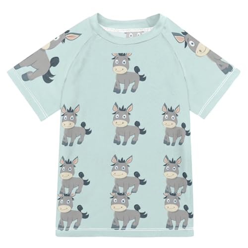 Boys Short Sleeve T-Shirts Donkey Horse Blue Rashguard Kids Swim Shirts Sun UPF 50+