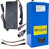 Wroyeti 52V Battery 52V 20Ah Ebike Battery 52V Electric Bike Battery 52V Lithium Ion Battery with 3A Charger, T-Plug Extension Cord, XT60 Connector for 200-1500W Electric Bicycles Motor