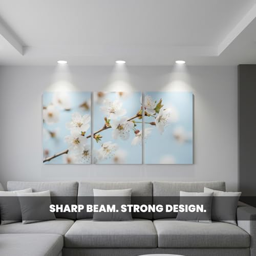 Image of Havells Crysta Deco Cob 18W 4K White,Led-Spotlights,Energy Efficient,Long Life of 25000 Burning Hours,Beam Angle of 36,Metal Body Cob with Independent Driver,Natural Daylight (4000K) Pack of 10