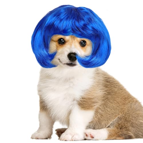 UKCOCO ybgp킢EBbOwbhEFA ϋvfގgp 邢FŖڂ LpRX`[ nEBCxg