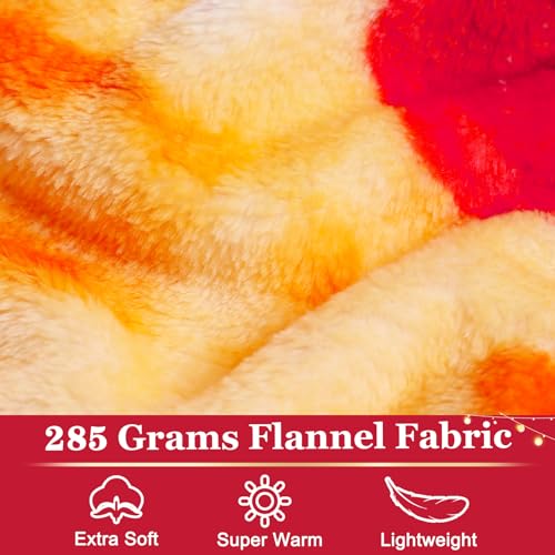 Jorbest Pizzas Blanket Adult Kids and Baby Size for Birthday Gifts, Double Sided Food Throw Blanket Funny Gifts for Women Men Teen, 285 GSM Soft Flannel Taco Blanket (Red, 60 inches) ﻿