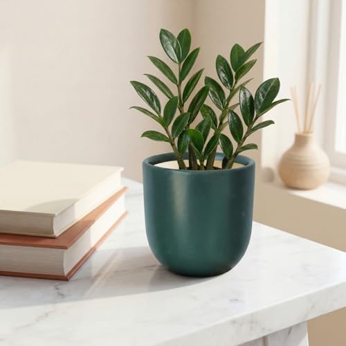 Image of ecofynd 5 Inch Ceramic Plant Pots with Drainage Hole, Modern Decorative Clay Flower Pots for Indoor Plants, Home Garden Decor for Living Room, Bedroom & Interior Spaces (CPOT041-DGN)