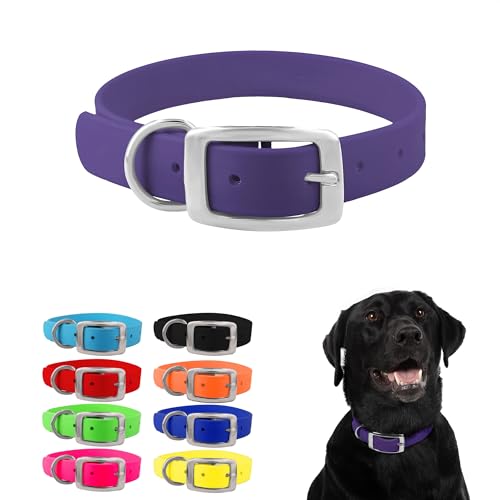Regal Medium Purple Dog Collar with Double Buckle & D Ring