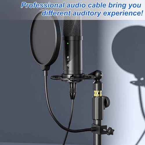 Cable XLR macho a 2 Jack 6.35mm TRS 0.5 m miniatura 6