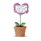Crochet Heart Flower – “No Words… Just Hugs” – Handmade Crochet Plushie Plant - Sympathy, Comfort Gift, Encouragement Present, Thinking of You Gift