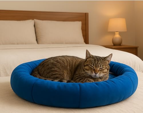 Image of Round Donut Dog Bed - Washable Plush Cushion Pet Bed with Raised Rim Support, Non-Slip & Cozy Sleeping Mat for Cats, Puppies & Small Dogs (19x19 Inch, Blue)