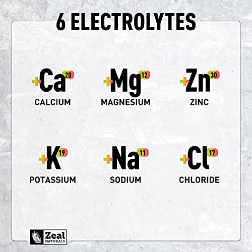 Image of Zeal Electrolyte Powder - 90 Servings | Keto Electrolytes Powder | Zero Sugar, BCAAs, B-Vitamins | Potassium, Zinc, Magnesium | Hydration Powder Recovery Drink | Passion Fruit Orange Guava