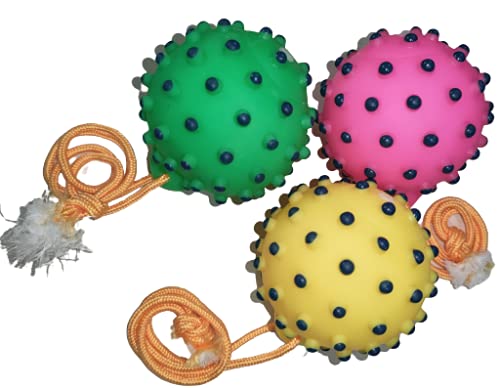 PSK PET MART Dog Dot Spiked Ball Toy Chew with Rope Tug Pack of 3 (B08PFXMLJ8) Amazon Price History, Amazon Price Tracker