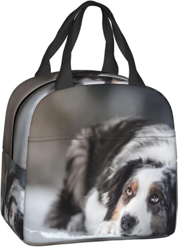 多機能 大容量 手提げお弁当箱 保温 保冷 オーストラリアンシェパードウィンタースノー犬 防水通気性 保温 保冷ランチバッグ 耐摩耗性 ファッション 断熱バッグ ピクニックバッグ 子供用 ユニセックス