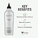 Kenra AllCurl Cleansing Rinse | Non-Drying Cleansing Rinse | Eliminates Product Build-Up | Maintains Moisture | Enhances Manageability | Color Safe | Wavy, Curly, Coily Hair | 10 fl. oz