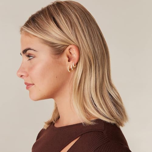 Earrings 18k Real Gold Plated Small Ear Ring Set Huggie Ring Earrings WithCartilage Perforation EarBuckle for Women and men, Small Ring Earrings 8mm, 10mm, 12mm（Rose Golden）4