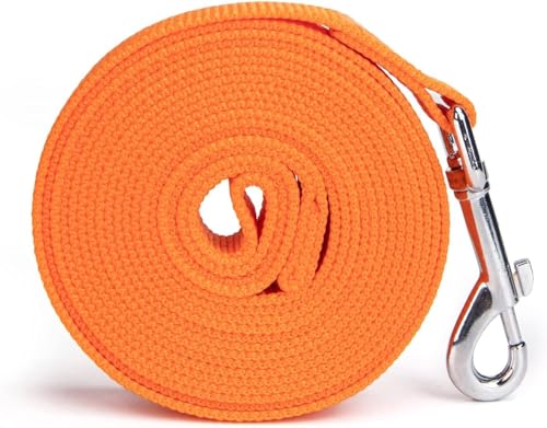 Image of 10 Feet Nylon Training Dog Leash for Small Medium Large Dogs Puppy Lead for Obedience Recall Training, Camping (Orange)