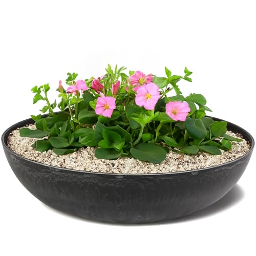 matches21 HOME & HOBBY Vaso per piante da esterno in marmo nero 45 x 13 cm come vaso per fiori resistente alle intemperie