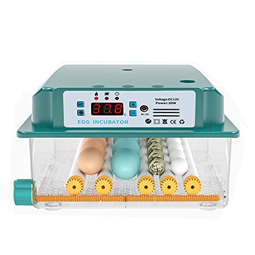 YAWEDA Incubadora Automática para 16 Huevos de Gallina, Pato y Ganso con Pantalla Digital y luz LED con Control Eficiente Inteligente de Temperatura Rotación Automática Cover