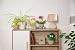 Imagen de Peluche Cactus Henriette 18cm Verde