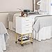 OmySalon Salon Storage Trolley Cart, White Gold Salon Station for Stylist, Beauty Wooden Hair Cabinet with Dryer Holder & Drawer, Hairdressing Tools Organizer Equipment for Spa Barbershop