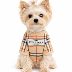 Luxury Designer Dog T Shirt – Trendy Puppy Clothes for Small Dogs, Fashion Pet Tee for French Bulldogs & Chihuahuas, Everything Chic Dog Apparel (FurberryTee, Small)