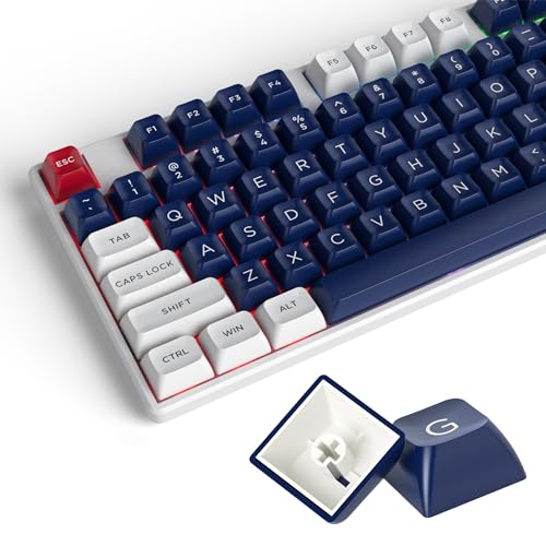 Touches ASA PBT GTSP Clavier Mécanique 150 Keycaps Snow Abyss Format 75% Layout MX