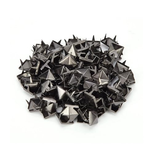 ^JXNGAxbgApCobOANZT[U[fR[Vp100 (Vo[ubN)