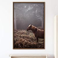 Framed Canvas Wall Art Horse Animals Dramatic Farmhouse/Country Horse Living Room Multicolor Photography - 16x24 inches
