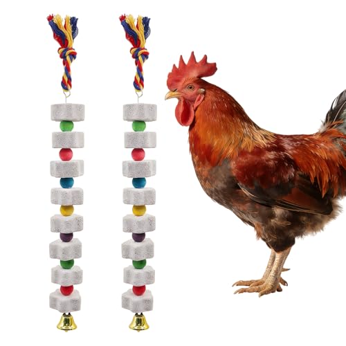 JUFYVO 2pcs Large Chicken Chewing Toy Chick Beak Grinding Calcium Stone Chicken Enrichment Toys Cage Accessories for Chick Parrots Budgies Hamsters