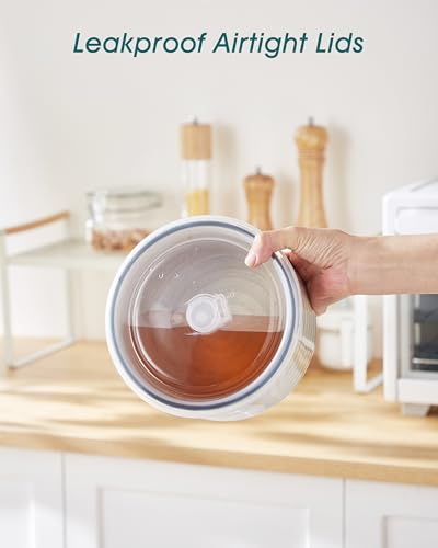 vancasso Bonbon Keramikschale mit Deckel, 1020ml Suppenschalen mit Deckel, Servierschalen Set 4er mit Deckel für Mittagessen, Picknick, Küche, Lebensmittelaufbewahrungsbehälter, Servierschalen