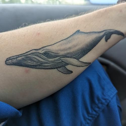 tsp ep186 - Whale Tales