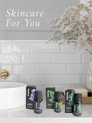 Generic 3 Amber Glass Bottles Essential Oil Set Rosemary Lavender Eucalyptus For Diffusers Humidifier Great Scent Therapeutic Grade Aromatherapy Relax Calm Relieve Stress Home Care thumb #4