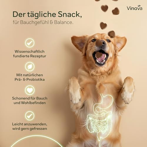 FloraCare+ Probiotika Hund – Darmkur bei Durchfall, Blähungen & Sodbrennen | Darmflora aufbauen & Magen-Darm stärken | Präbiotika + Probiotika für Hunde | Magenschutz & Darmwohl | 60 Stück