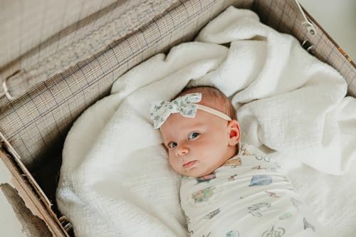 Copper Pearl Classic Baby Bow Wizarding World™4