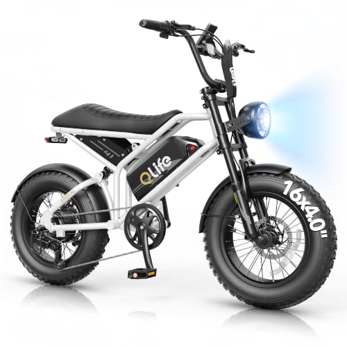 Qlife Spark D1/D2 Electric Bike for Kids & Teens, 1500W/1800W Peak Motor Electric Dirt Bike, 48V 13Ah/15.6Ah Battery Ebike, 16" Fat Tire Electric Motorcycle, Full Suspension Outdoor Mini E Bike image 6