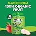 GoGo squeeZ Organic Applesauce and Fruit Puree, Apple Apple, 3.2 oz (Pack of 12), Unsweetened Organic Fruit Snacks for Kids, Gluten Free, Nut Free and Dairy Free, Recloseable Cap, BPA Free Pouches